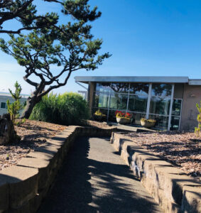 Sunny landscaped garden with stone pathway leading to a modern house with large windows and ornamental trees